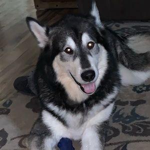 Meet your Posher, Christina